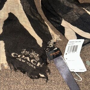 Coach Black Bluff Zebra 44X44 Animal Print Scarf